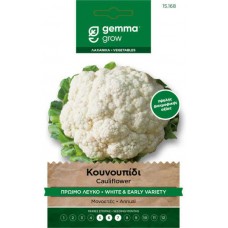 Κουνουπίδι Πρώιμο Λευκό 2g Σπόροι 'Palla di Neve'