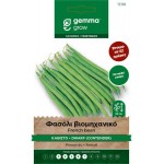 Contender French Bean Seeds 10g Packet (Phaseolus vulgaris 'Contender') - French Beans Seed in Packets Contender Bean Seeds 10g Packet (Phaseolus vulgaris)