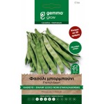 Starozagorski Red French Bean Seeds 30g Packet (Phaseolus vulgaris 'Starozagorski') - French Beans Seed in Packets Starozagorski Red French Bean Seeds 30g (P vulgaris)