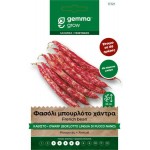 Φασόλι Μπουρλότο Χάντρα Καθιστό 10g Σπόροι Fuoco Nano