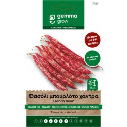 Borlotto Lingua Fuoco Nano French Bean Seeds 30g Packet