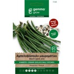 Αμπελοφάσουλο Μαυρομάτικο Καθιστό 10g Σπόροι Dall Occhio
