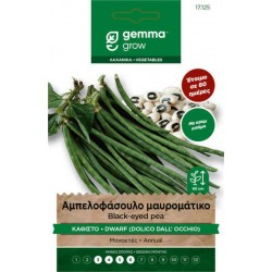 Αμπελοφάσουλο Μαυρομάτικο Καθιστό 10g Σπόροι Dall Occhio