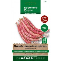 Borlotto Lingua Fuoco 2 Climbing French Bean Seeds 30g