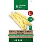 Climbing Yellow French Bean Seeds 30g Packet (Phaseolus vulgaris 'Meraviglia di Venezia Grano Nero') - French Beans Seed in Packets Climbing Yellow Bean Seeds 30g Meraviglia Venezia Grano Nero