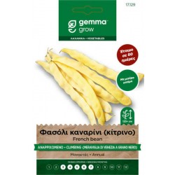 Climbing Yellow Bean Seeds 30g Meraviglia Venezia Grano Nero