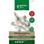 Corona Climbing Giant Run Bean Seeds 30g Packet (Phaseolus vulgaris 'Corona') - French Beans Seed in Packets Corona Climbing Giant Run Bean Seeds 30g P. vulgaris