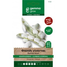Corona Climbing Giant Run Bean Seeds 30g P. vulgaris