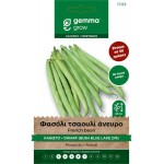 Bush Blue Lake French Bean Seeds 30g Packet