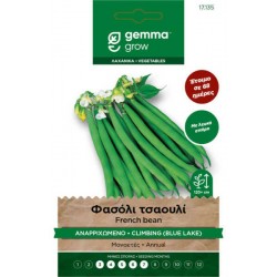 Blue Lake French Bean Seeds 30g (Phaseolus vulgaris)