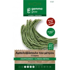 Αμπελοφάσουλο Μέτρου Αναρριχώμενο 10g Σπόροιι Φακελάκι
