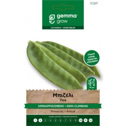 Carouby de Maussane Pea Seeds 10g Packet