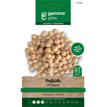 Thebes Chickpea Seeds 10g Packet (Cicer arietinum 'Thivas') - Chickpeas Seed in Packets Thebes Chickpea Seeds 10g Packet (Cicer arietinum 'Thivas')