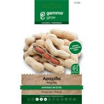 Αραχίδα-Αράπικο Φιστίκι 10g Σπόροι Φακελάκι (Arachis hypogaea 'Runner') - Αράπικα Φιστίκια Σπόρος Αραχίδα-Αράπικο Φιστίκι 10g Σπόροι-Arachis hypogaea Runner