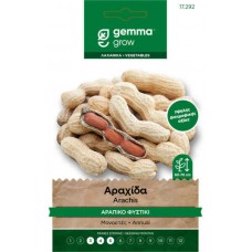 Monkey Nut Runner Seeds 10g-Arachis hypogaea 'Runner'