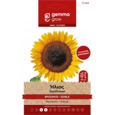 Ήλιος Βρώσιμος-Ηλιόσπορος 1g Σπόροι (Helianthus annuum)
