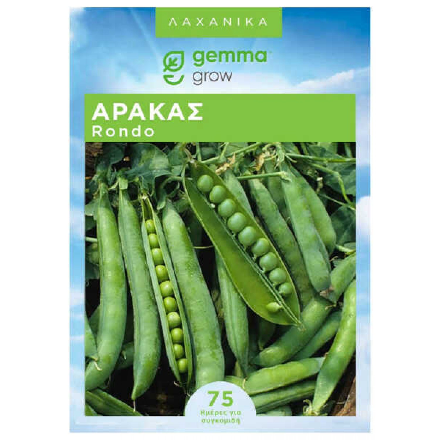 Αρακάς Ημιαναρριχώμενος Rondo Wando 1kg Σπόρος