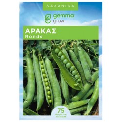 Αρακάς Ημιαναρριχώμενος Rondo Wando 1kg Σπόρος