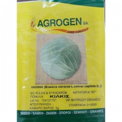 Λάχανο Κιλκίς Παραδοσιακό Σπόρος (Brassica oleracea var. capitata)