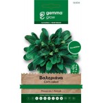 Corn Salad Seeds-Valerianella locusta D'Olanda a Seme Grosso