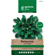 Βαλεριάνα-Λυκοτρίβολο Σπόροι-'D'Olanda a Seme Grosso