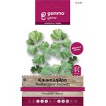 Καυκαλήθρα Σπόροι Φακελάκι 12648 (Tordylium apulum) - Σπόρος για Καυκαλήθρες Καυκαλήθρα Σπόροι Φακελάκι 12648 (Tordylium apulum)