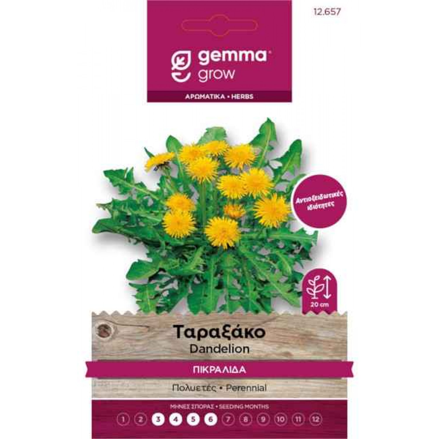 Taraxacum officinalis seeds|kipogeorgiki.live Taraxacum officinalis seeds|kipogeorgiki.live