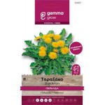 Taraxacum officinalis seeds|kipogeorgiki.live Taraxacum officinalis seeds|kipogeorgiki.live