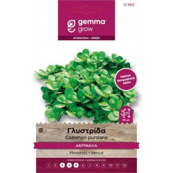 Γλυστρίδα-Γλιστρίδα-Αντράκλα Σπόροι-Portulaca oleracea