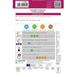 Γλυστρίδα-Γλιστρίδα ή Αντράκλα Σπόροι Φακελάκι 12662 (Portulaca oleracea) - Σπόρος για Γλιστρίδες Γλυστρίδα-Γλιστρίδα-Αντράκλα Σπόροι-Portulaca oleracea