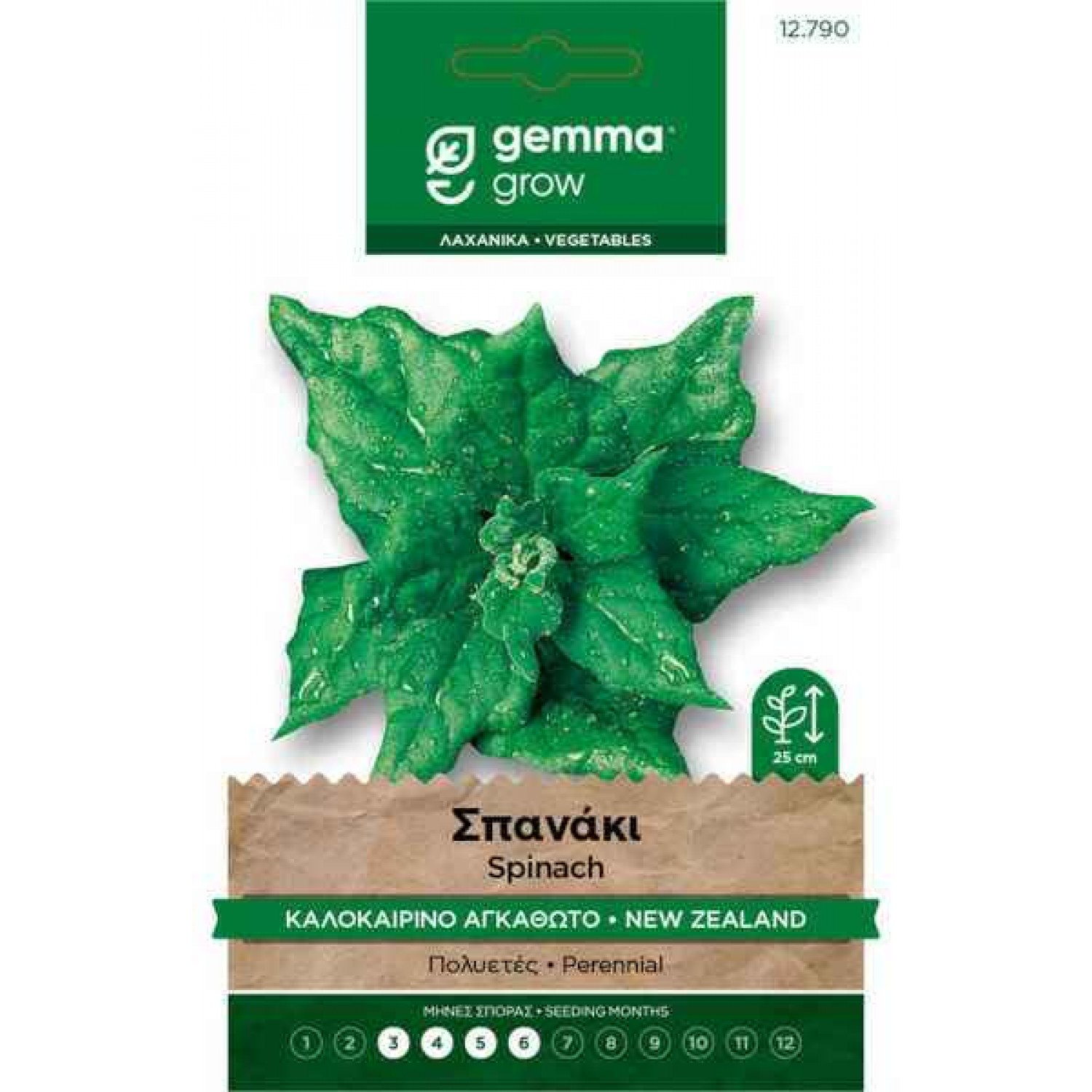 New Zealand Summer Spinach Seeds 7g Packet (Tetragonia expansa 'New Zealand') - Spinaches Seed in Packets New Zealand Summer Spinach Seeds 7g Packet