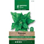 New Zealand Summer Spinach Seeds 7g Packet (Tetragonia expansa 'New Zealand') - Spinaches Seed in Packets New Zealand Summer Spinach Seeds 7g Packet