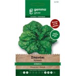 Σπανάκι America 15g Σπόροι-Spinacia oleracea 'America'