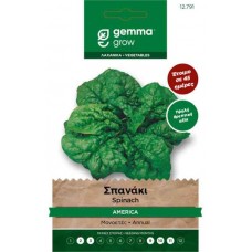 Σπανάκι America 15g Σπόροι-Spinacia oleracea 'America'