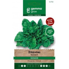 Σπανάκι Matador 15g Σπόροι-Spinacia oleracea 'Matador'