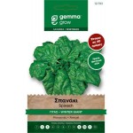 Spinach Broadleaf Seeds 15g Packet 12793 (Spinacia oleracea 'Gigante de Invierno') - Seed for Spinaches