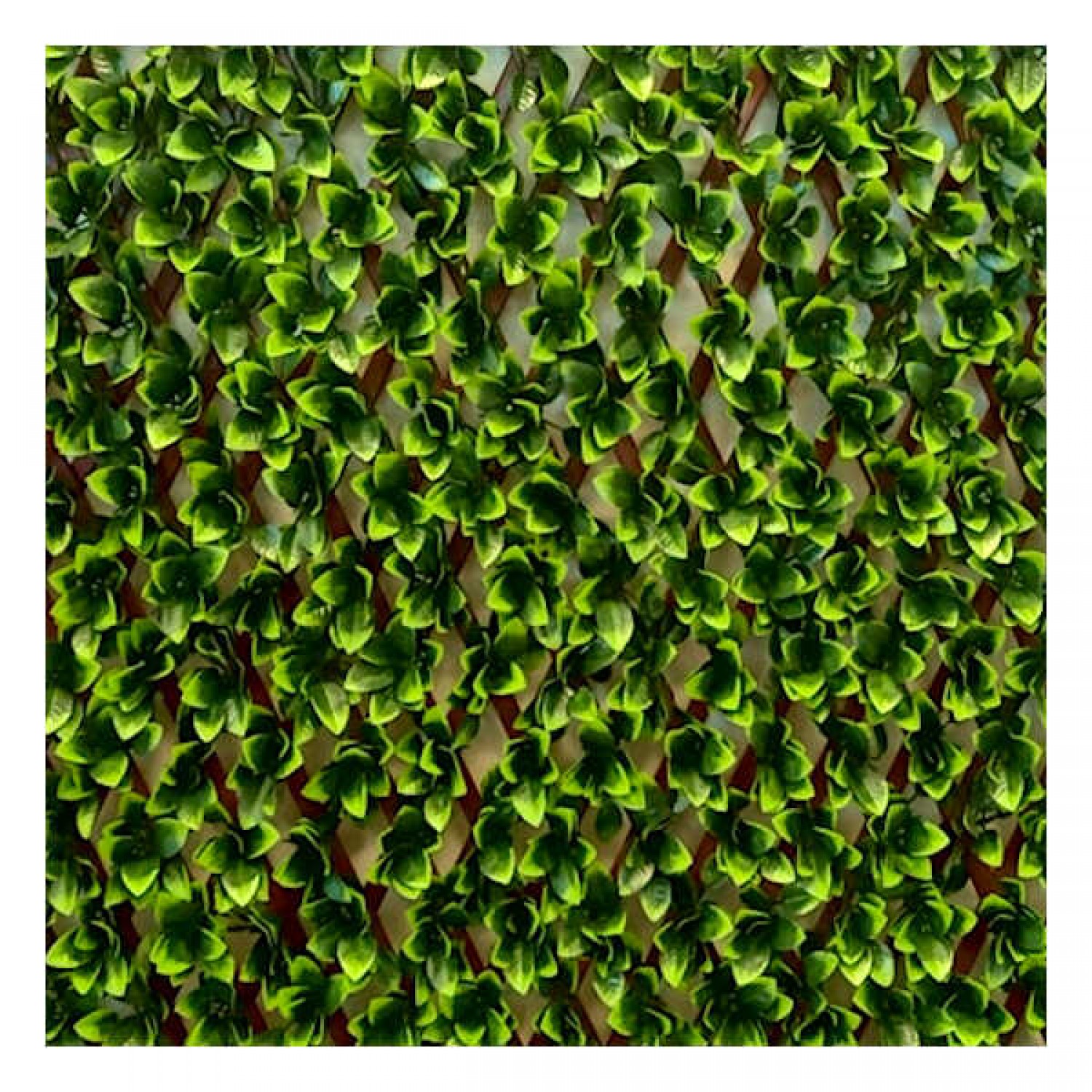 Decorative Expandable PVC Mesh Plastic Foliage 100(H)x200cm Leaves in Bouquet Decorative Expandable PVC Mesh Plastic Foliage 100(H)x200cm