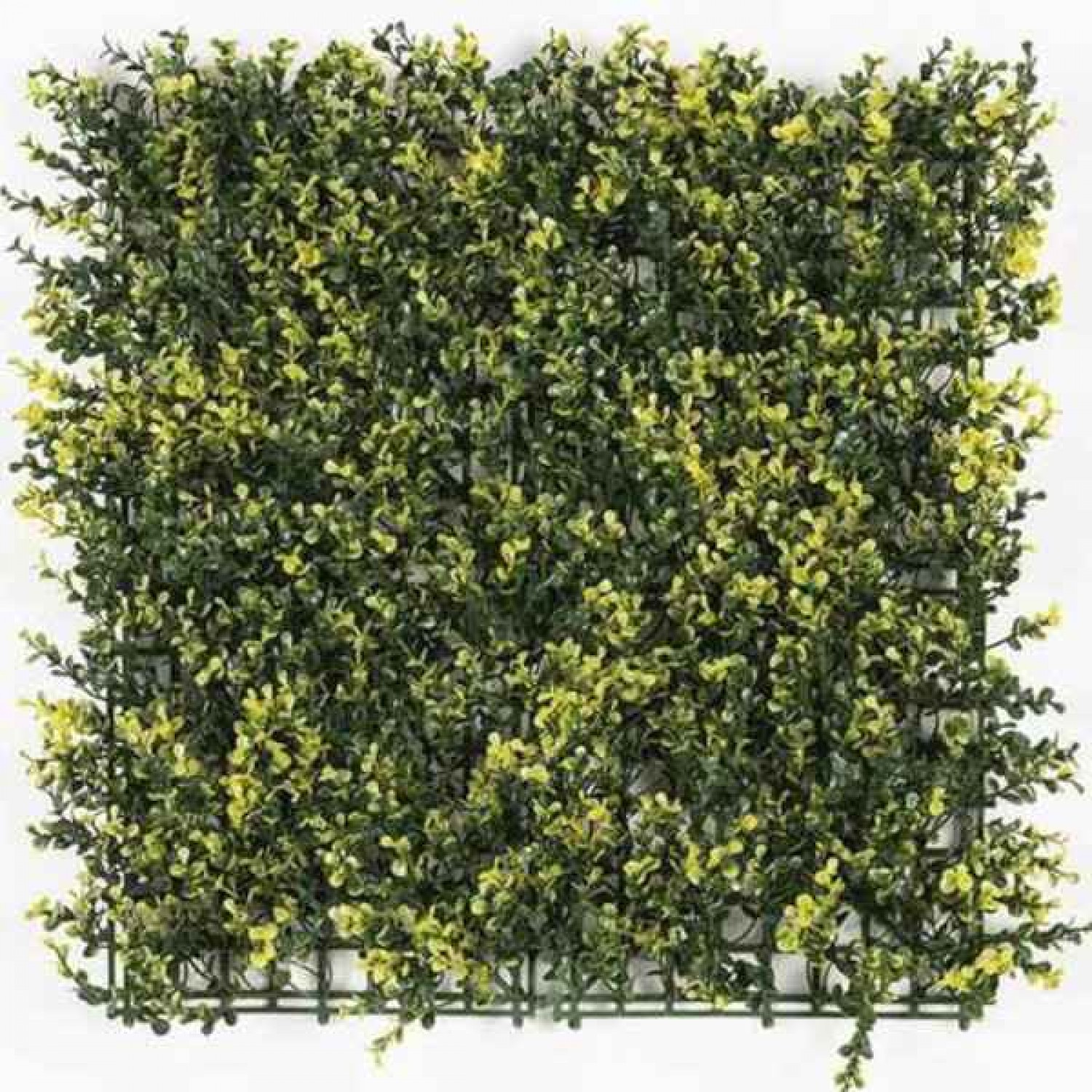 Greenery Panel OSLO 50x50cm MZ188003A-Plastic Foliages Greenery Panel OSLO 50x50cm MZ188003A - Artificial Vertical Gardens & Wall Tiles