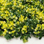 Greenery Panel OSLO 50x50cm MZ188003A-Plastic Foliages Greenery Panel OSLO 50x50cm MZ188003A - Artificial Vertical Gardens & Wall Tiles