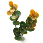 Greenery Panel BERLIN 50x50cm A012 BUXUS - Artificial Vertical Gardens & Wall Tiles