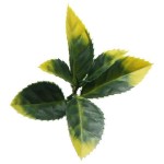 Greenery Panel BERLIN 50x50cm A017 PHOTINIA - Artificial Vertical Gardens & Wall Tiles