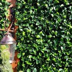 Greenery Panel BERLIN 50x50cm A017 PHOTINIA - Artificial Vertical Gardens & Wall Tiles