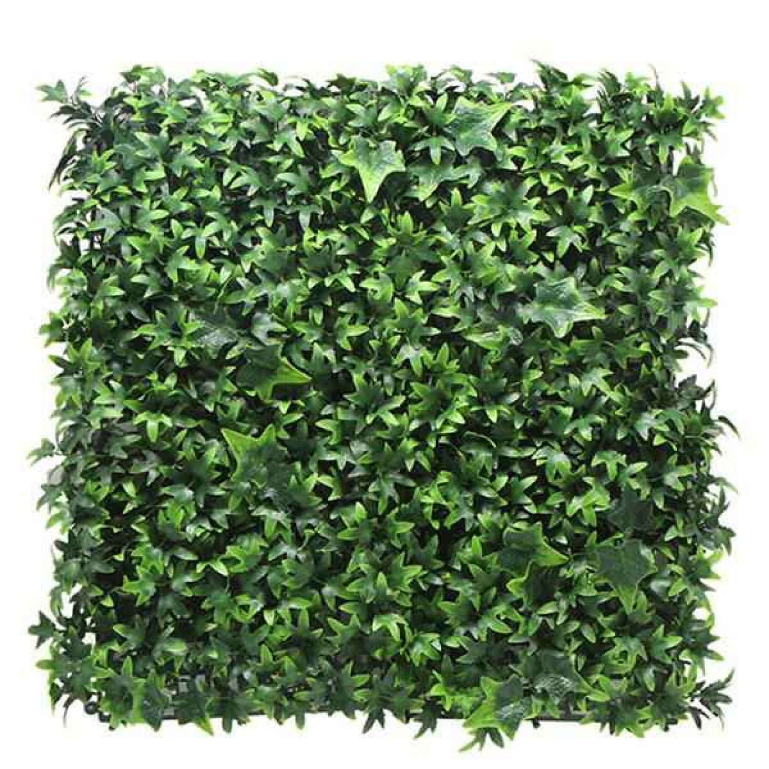 Πάνελ Φυλλωσιάς BERLIN 50x50cm A029 IVY Πλακίδιο Τοίχου Πάνελ Φυλλωσιάς BERLIN 50x50cm A029 IVY Πλακίδιο Τοίχου - Συνθετικοί Κάθετοι Κήποι & Πλακίδια Τοίχων