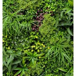 Vertical Garden Tile PARIS 1x1m MZ189035A - Artificial Vertical Garden Tile PARIS 1x1m MZ189035A - Artificial Vertical Gardens & Wall Tiles