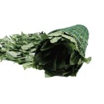 Artificial Dark Green Mesh Foliage PREMIUM 150x300cm - Outdoor Privacy Plastic Fences