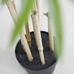 Artificial Bamboo Tree 210cm Height in Pot