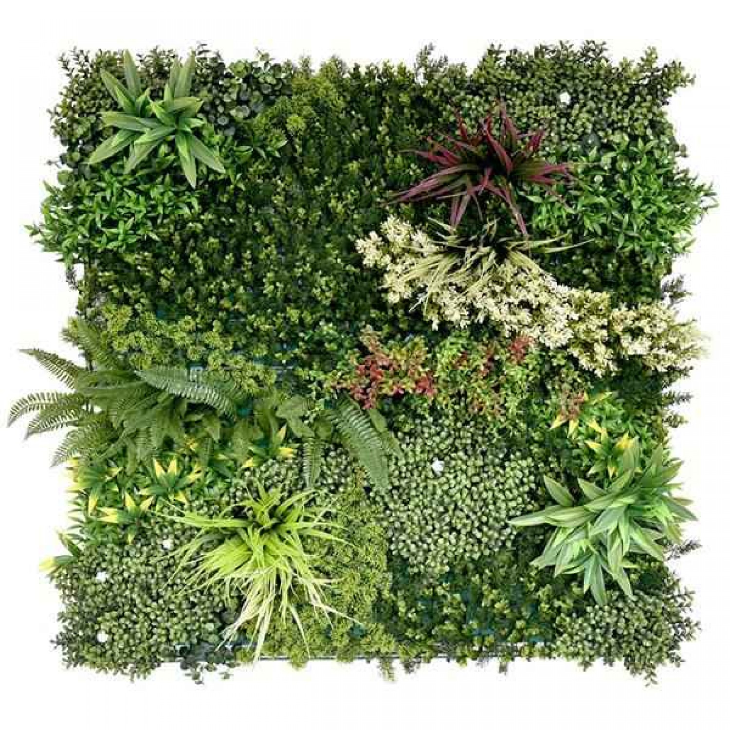 Vertical Garden Tile BABYLON 1x1m A003 GAEA-Artificial Vertical Garden Tile BABYLON 1x1m A003 GAEA - Artificial Vertical Gardens & Wall Tiles