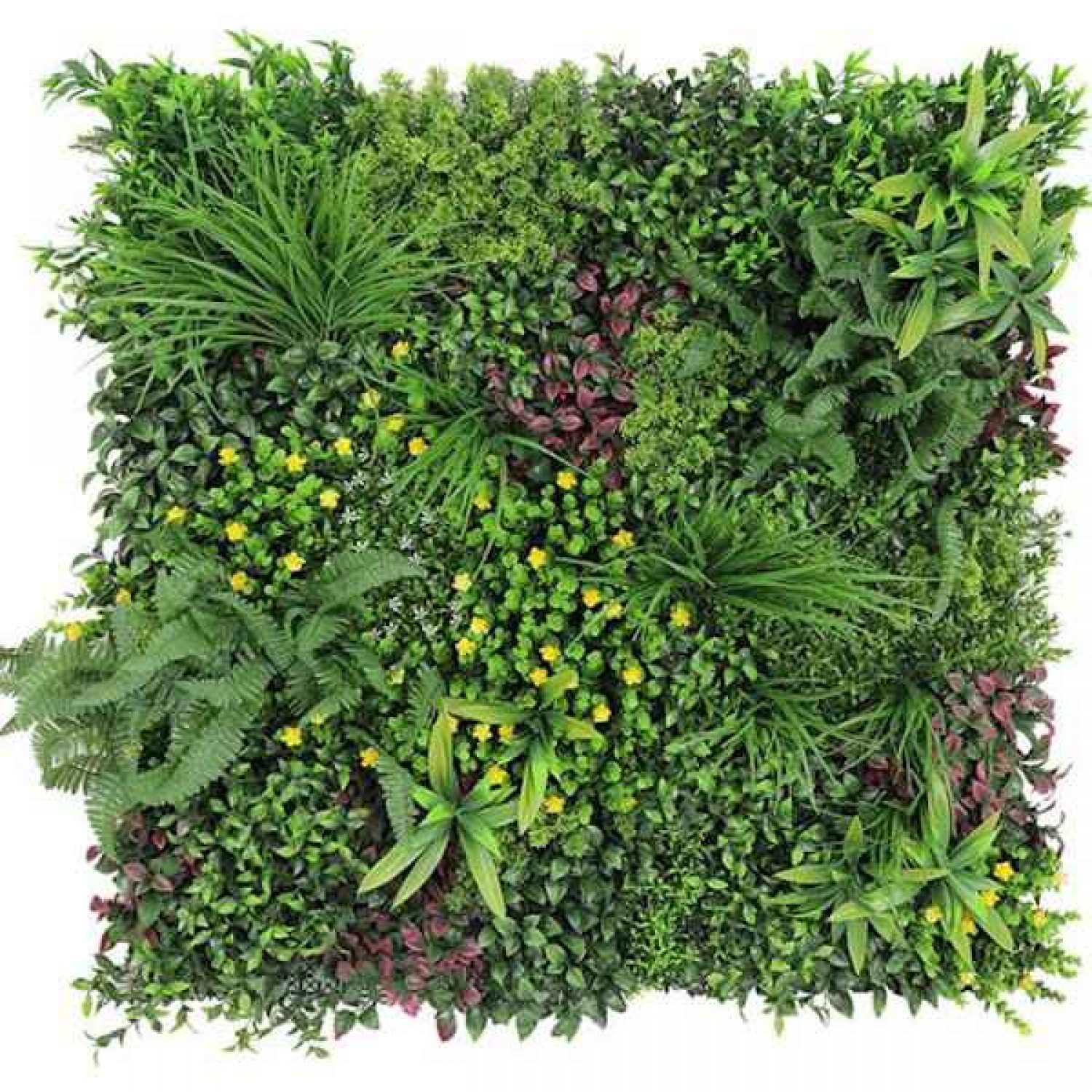 Vertical Garden Tile ATLANTIS 1x1m 18149X-Synthetic Vertical Garden Tile ATLANTIS 1x1m 18149X - Artificial Vertical Gardens & Wall Tiles