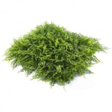 Green Wall Artificial Foliage Tile FERN Premium 50x50cm - Foliage Wall Tiles
