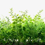 Green Wall Artificial Foliage Tile FERN Premium 50x50cm - Foliage Wall Tiles